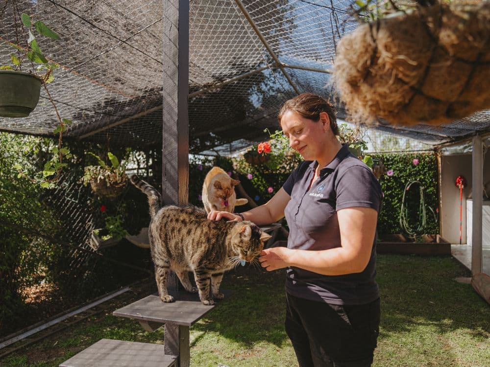 Hanrob Pet Hotels staff patting a cat outdoors